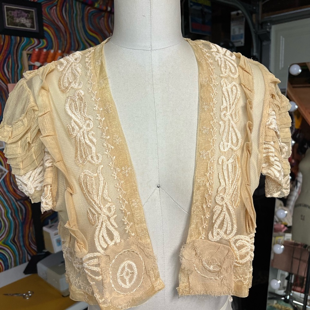 Champagne net embroidered bed jacket - Picture 1 of 4